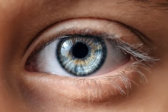 Die Augen: Fenster zu unserer Gesundheit picture news